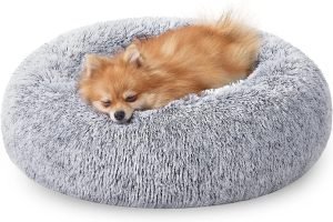 Camas Antiestrés para Perros que valen cada ladrido