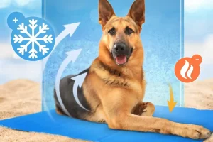 Manta fría para perros en verano